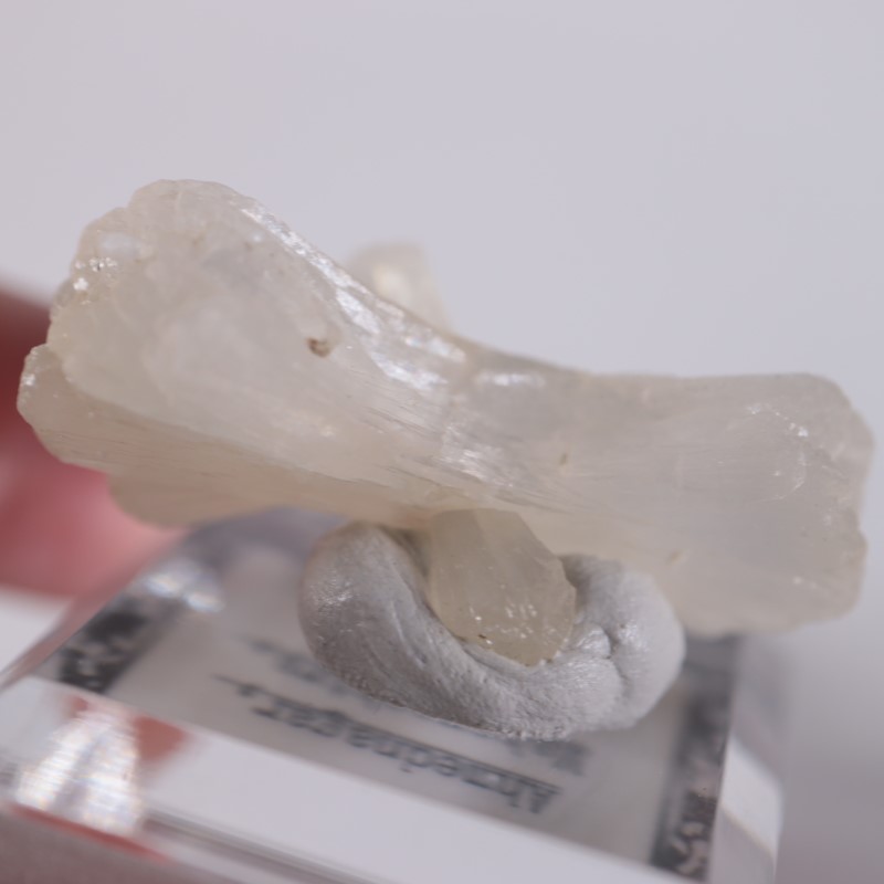 �ܥ����������ƥ���Х���