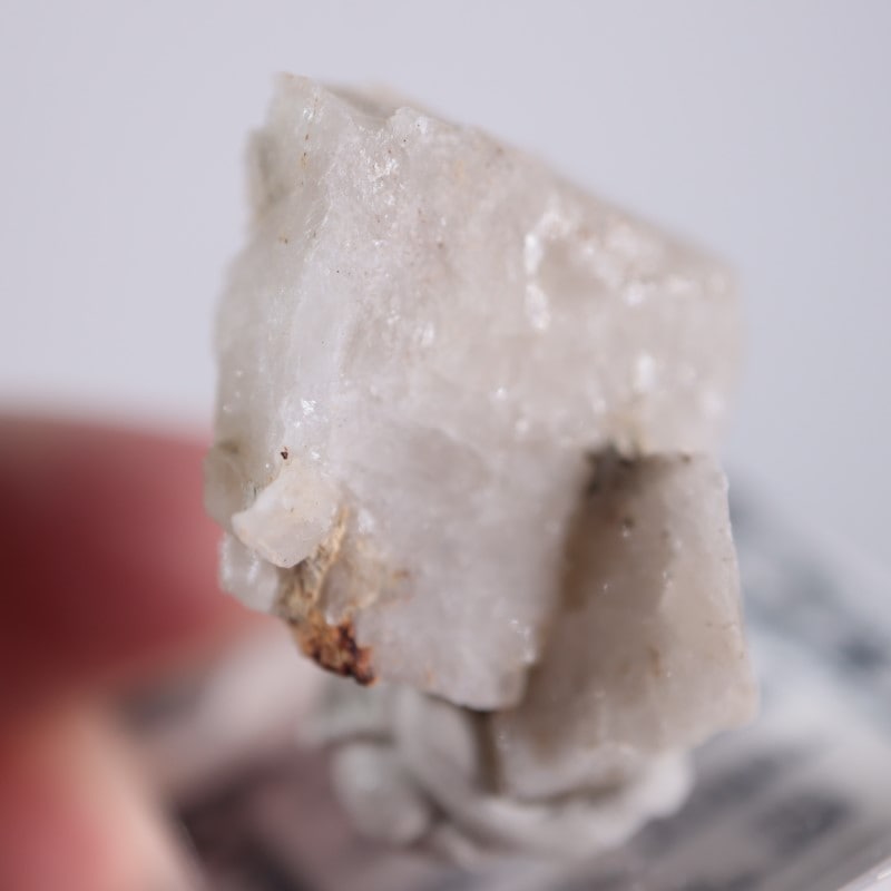 ���꥾�ʽ��������ץ���