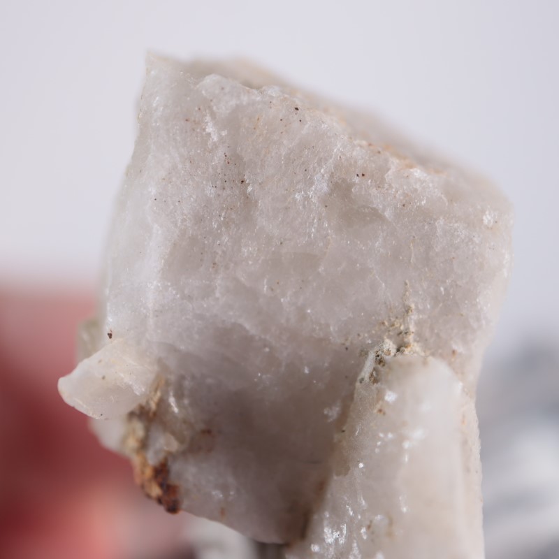 ���꥾�ʽ��������ץ���