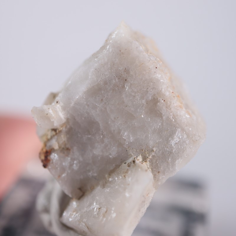 ���꥾�ʽ��������ץ���