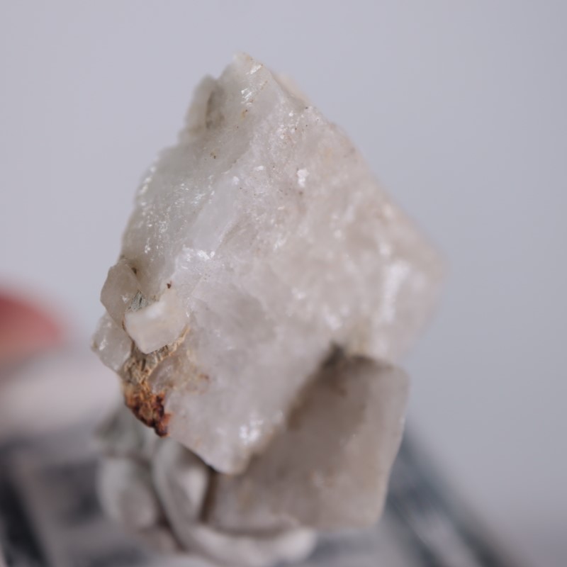 ���꥾�ʽ��������ץ���