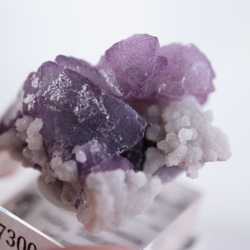 Tombstone�����ե����饤��