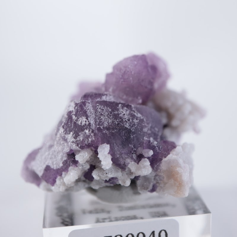 Tombstone�����ե����饤��