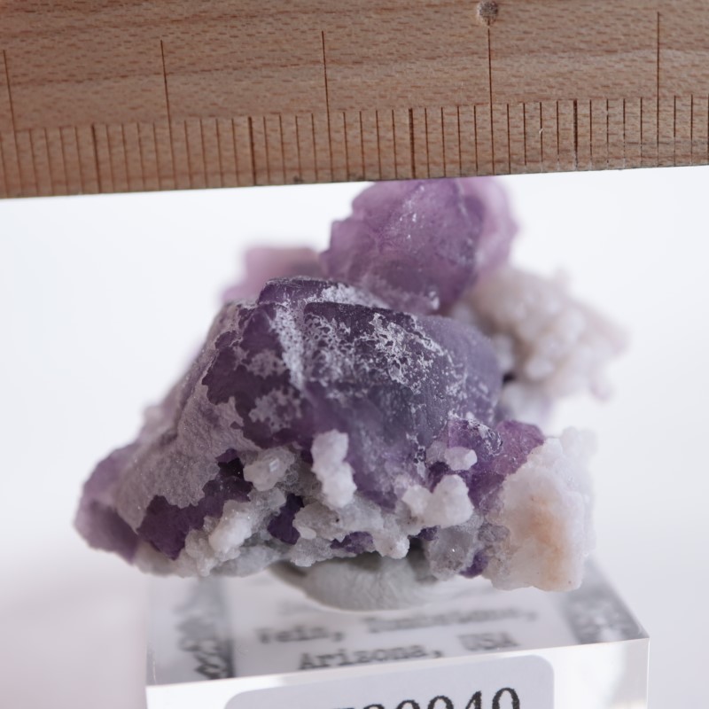 Tombstone�����ե����饤��