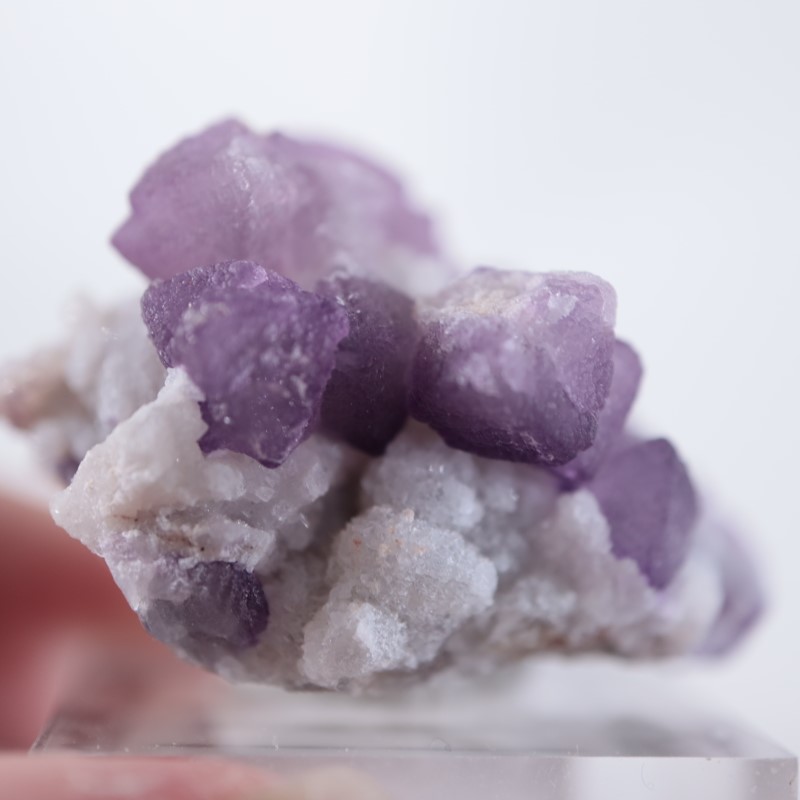 Tombstone�����ե����饤��