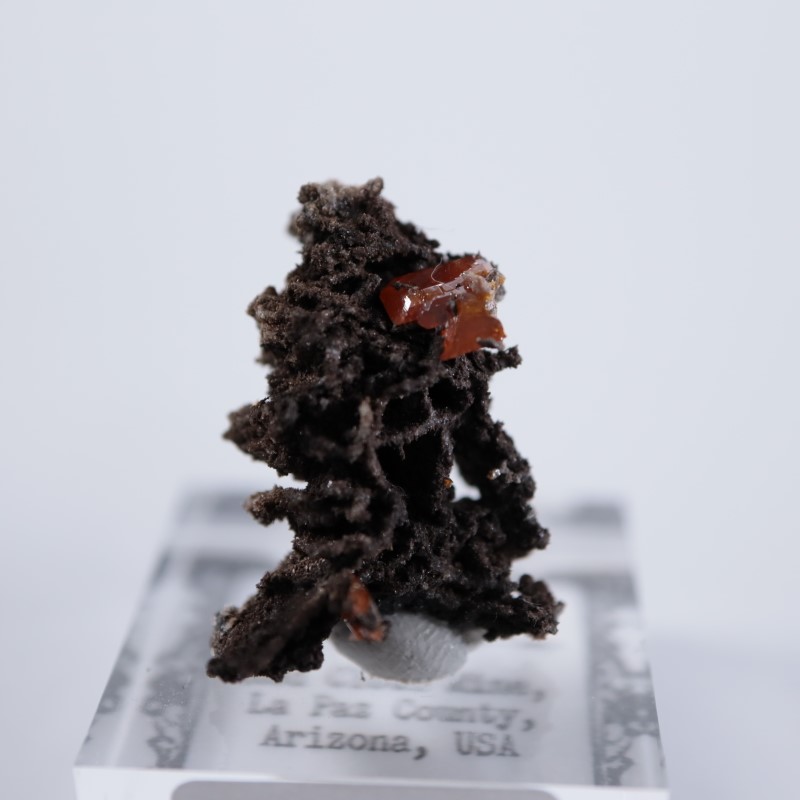 ��åɥ��饦�ɹۻ�������ե��ʥ���