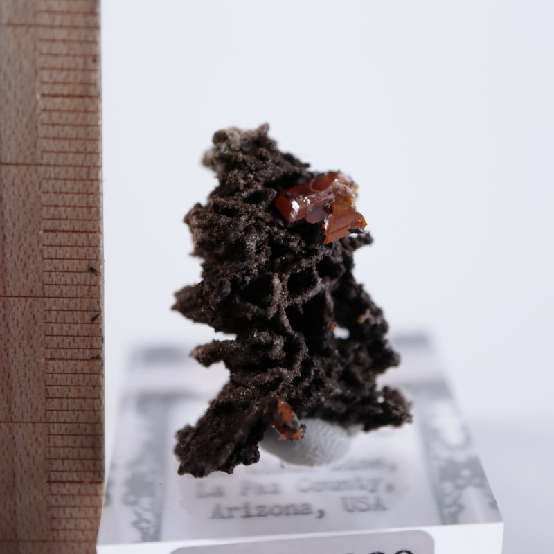 ��åɥ��饦�ɹۻ�������ե��ʥ���