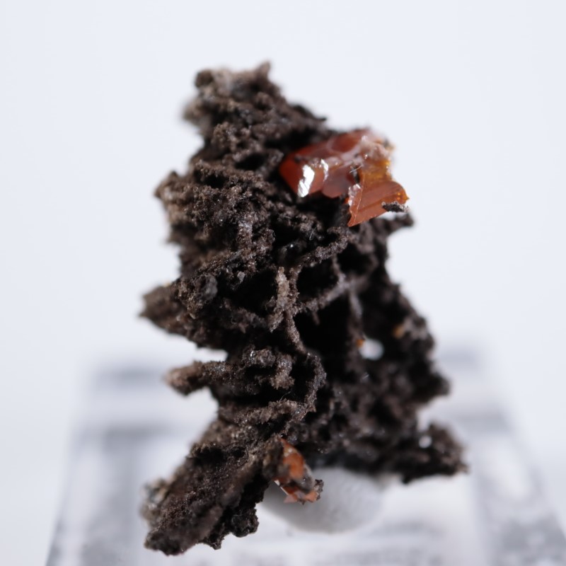 ��åɥ��饦�ɹۻ�������ե��ʥ���