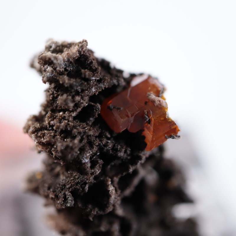 ��åɥ��饦�ɹۻ�������ե��ʥ���