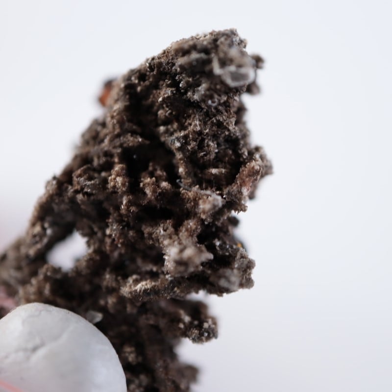 ��åɥ��饦�ɹۻ�������ե��ʥ���