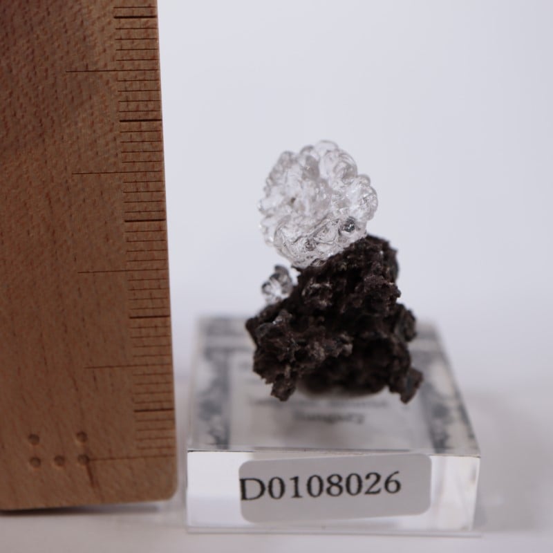 ハンガリー産 ハイアライト | 鉱物標本,ア行,オパール/蛋白石 | ほたる