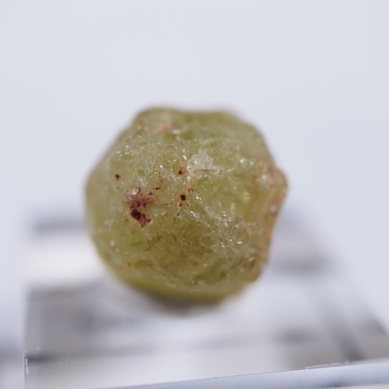 �ޥꥬ���ͥå�