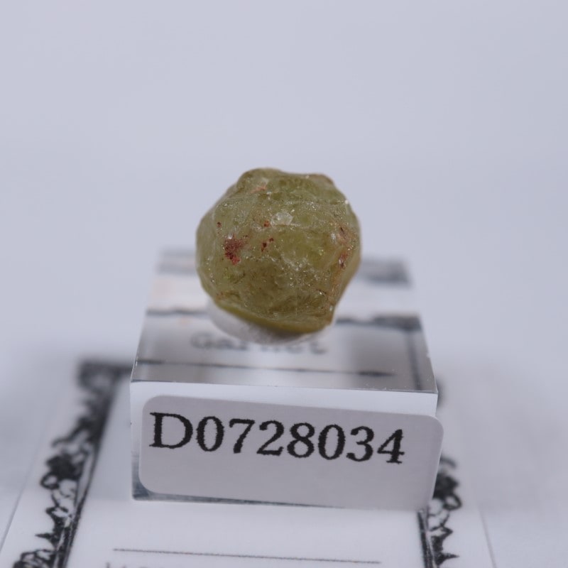 �ޥꥬ���ͥå�