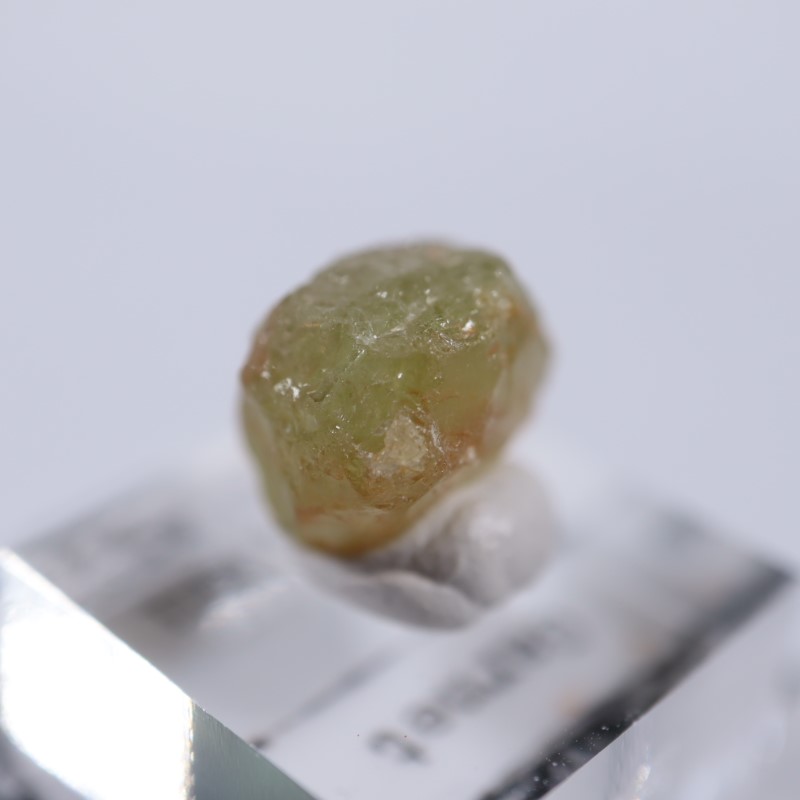 �ޥꥬ���ͥå�