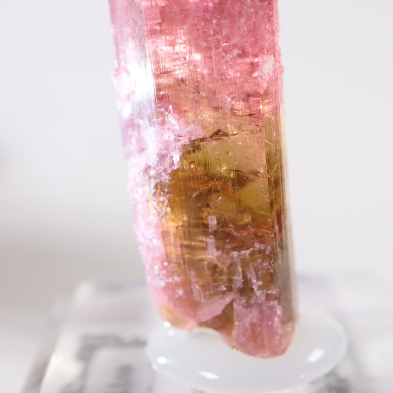 Malkhan������٥饤�ȥȥ�ޥ��