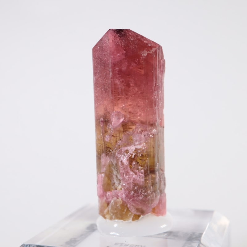 Malkhan������٥饤�ȥȥ�ޥ��