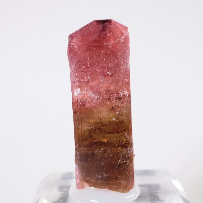 Malkhan������٥饤�ȥȥ�ޥ��