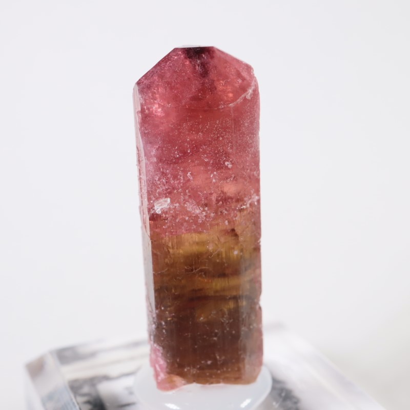 Malkhan������٥饤�ȥȥ�ޥ��