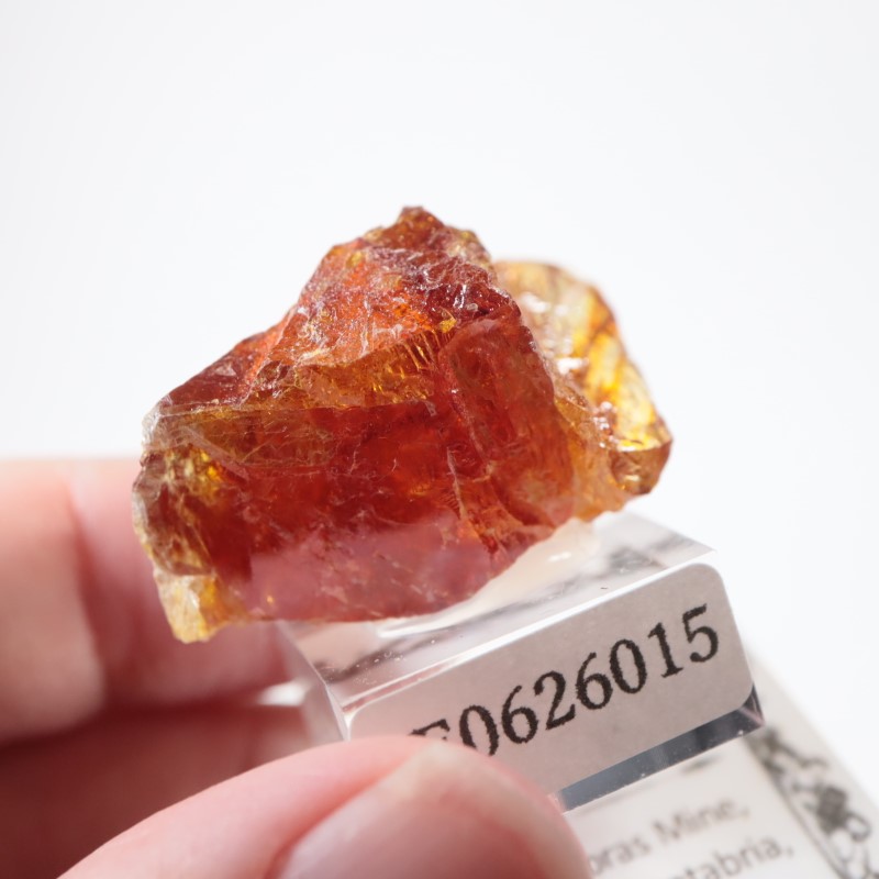 ���ڥ��󻺡����ե���饤��