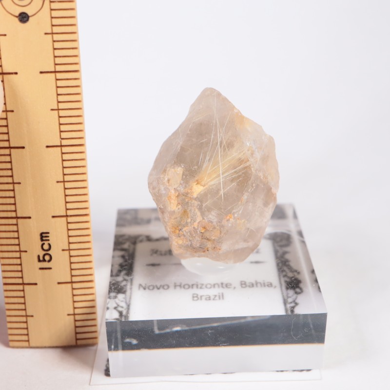 �֥饸�뻺 ����륤�󥯥�����