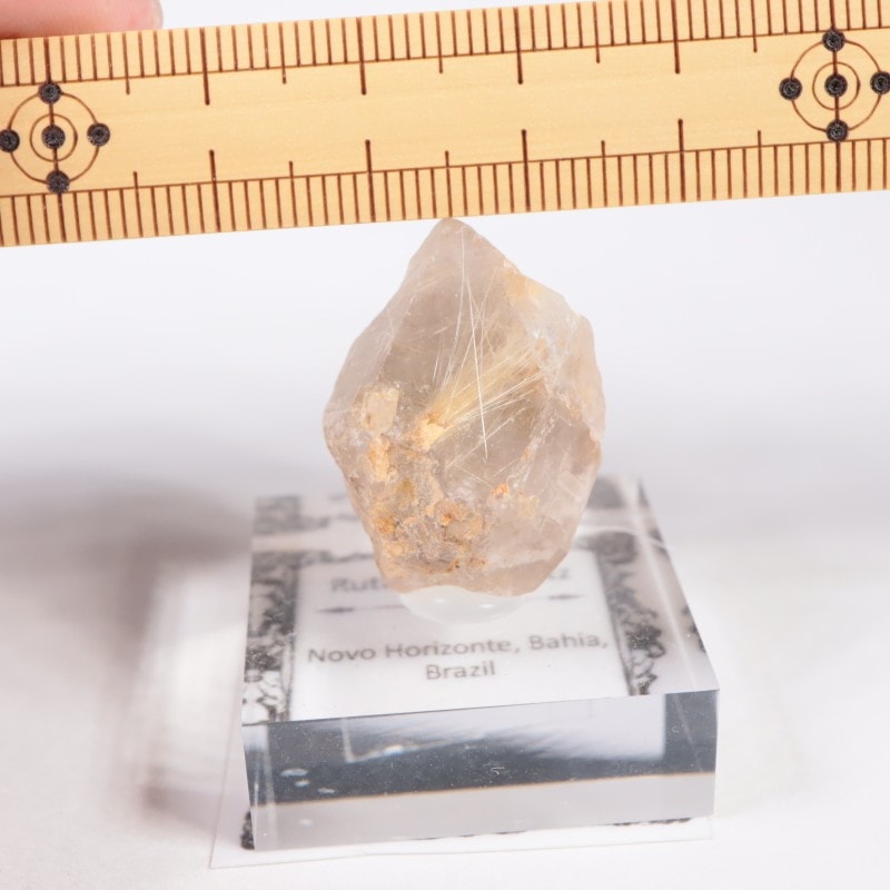 �֥饸�뻺 ����륤�󥯥�����