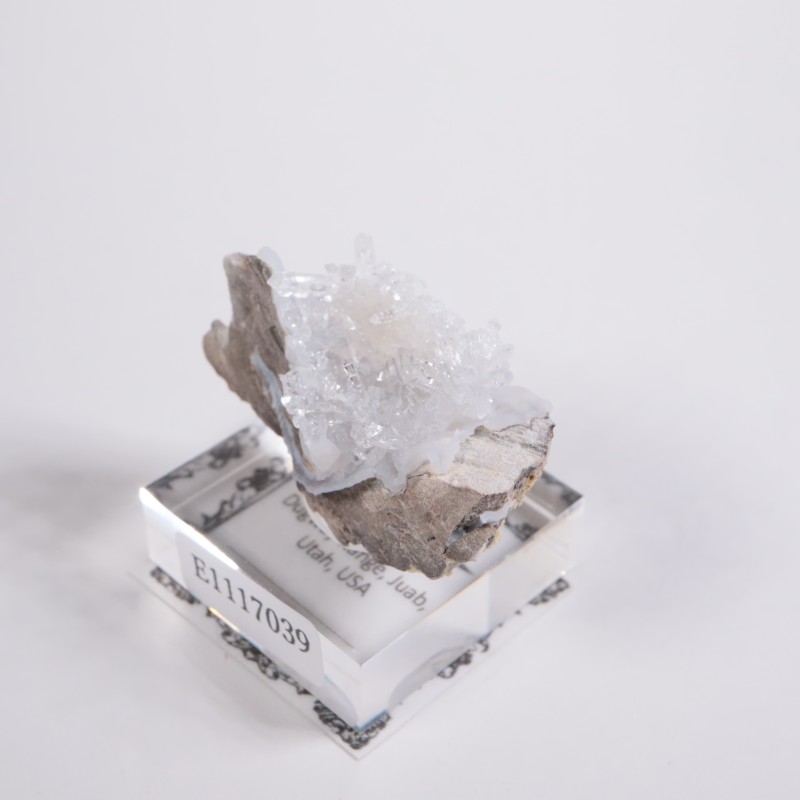 �楿���� �ե��徽