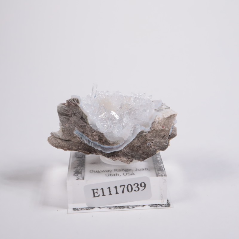 �楿���� �ե��徽