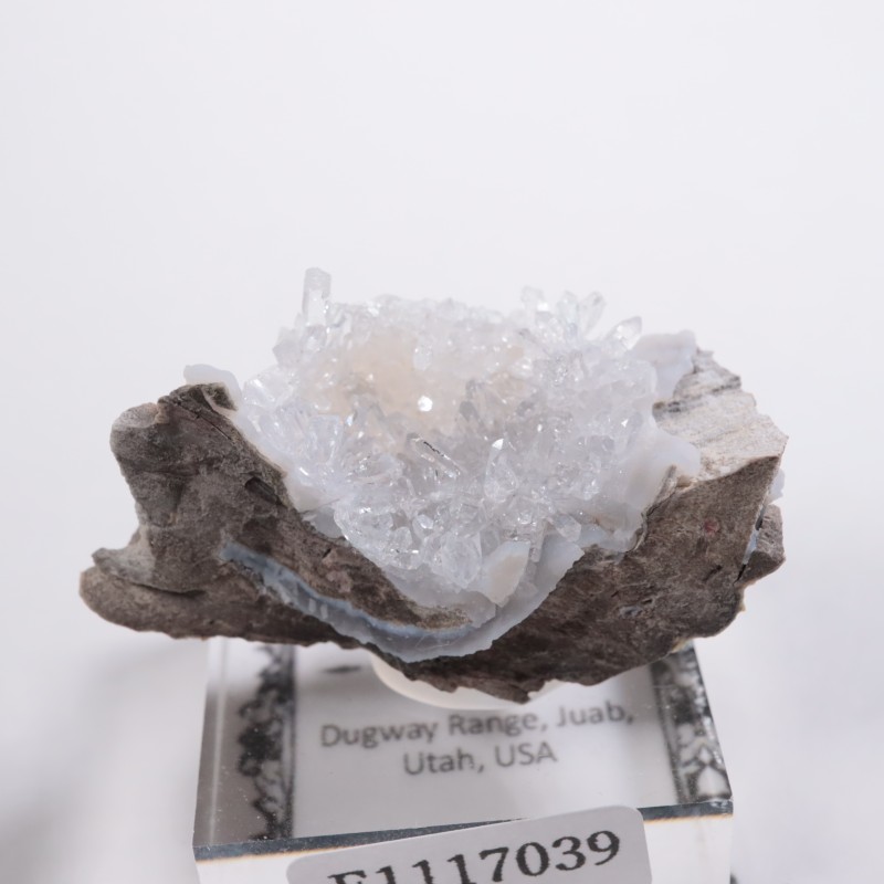 ユタ州産 フラワー水晶 | 鉱物標本,カ行,クォーツ/水晶 | ほたる