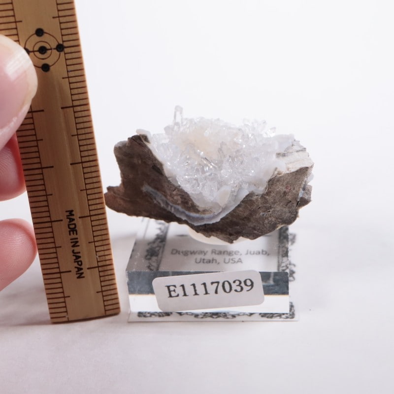 ユタ州産 フラワー水晶 | 鉱物標本,カ行,クォーツ/水晶 | ほたる