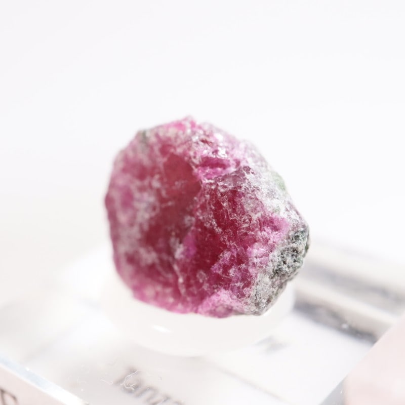 ���󥶥˥��� ��ӡ�