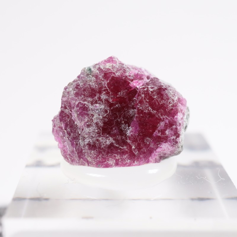 ���󥶥˥��� ��ӡ�