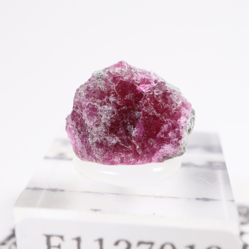 ���󥶥˥��� ��ӡ�