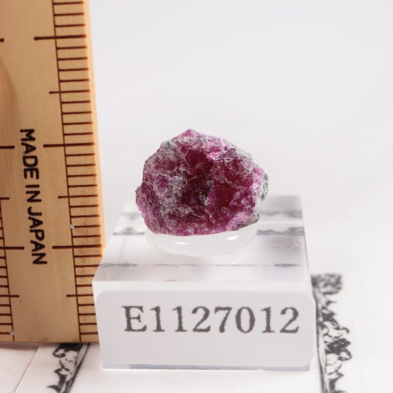 ���󥶥˥��� ��ӡ�