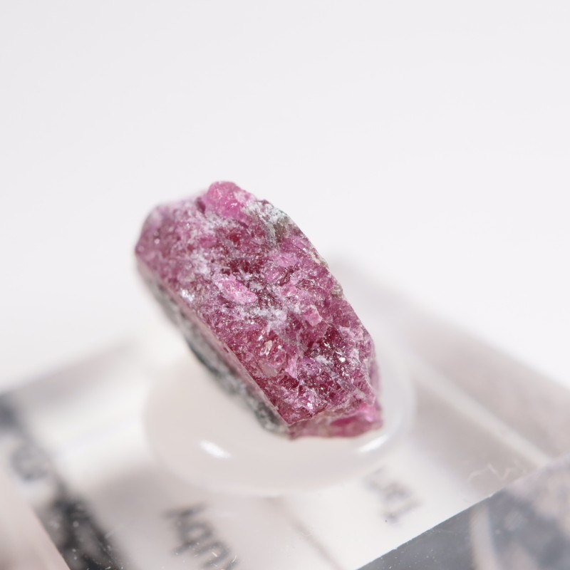 ���󥶥˥��� ��ӡ�