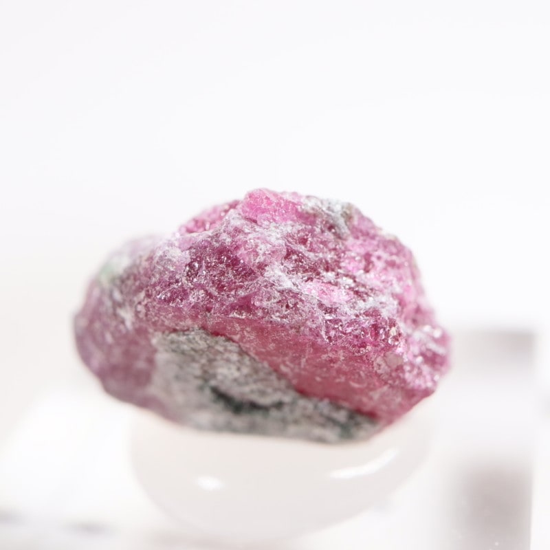 ���󥶥˥��� ��ӡ�