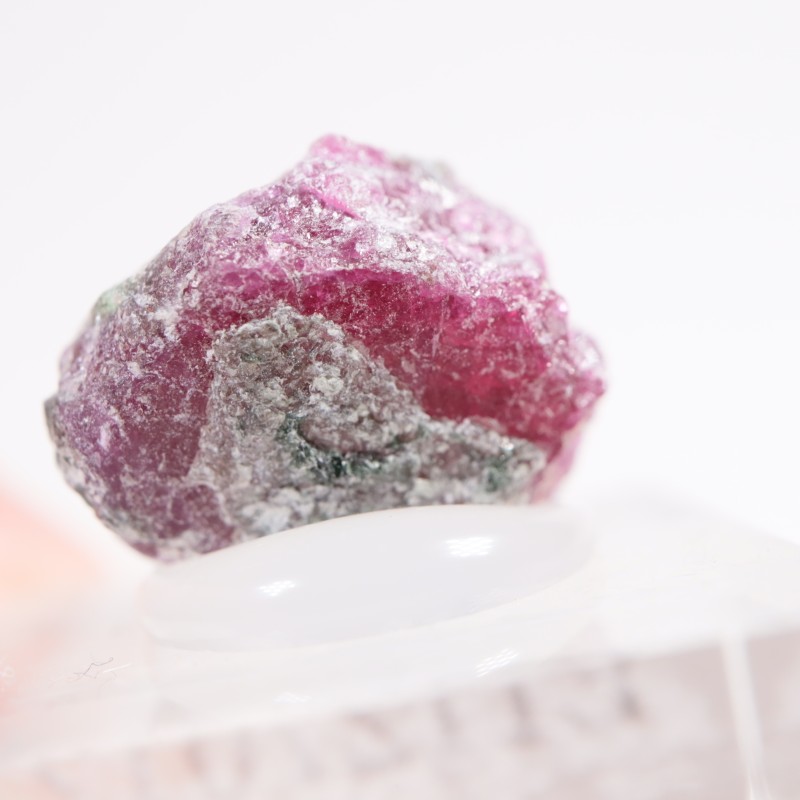 ���󥶥˥��� ��ӡ�