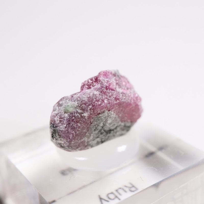 ���󥶥˥��� ��ӡ�