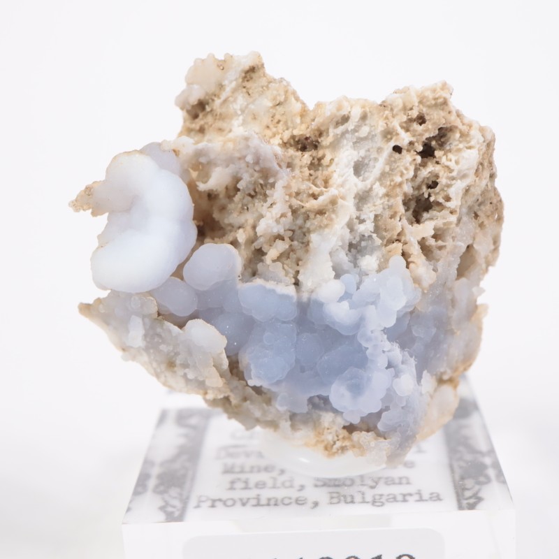 �֥륬�ꥢ�� ���륻�ɥˡ�