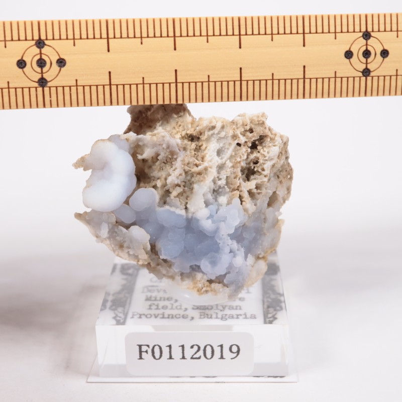 �֥륬�ꥢ�� ���륻�ɥˡ�