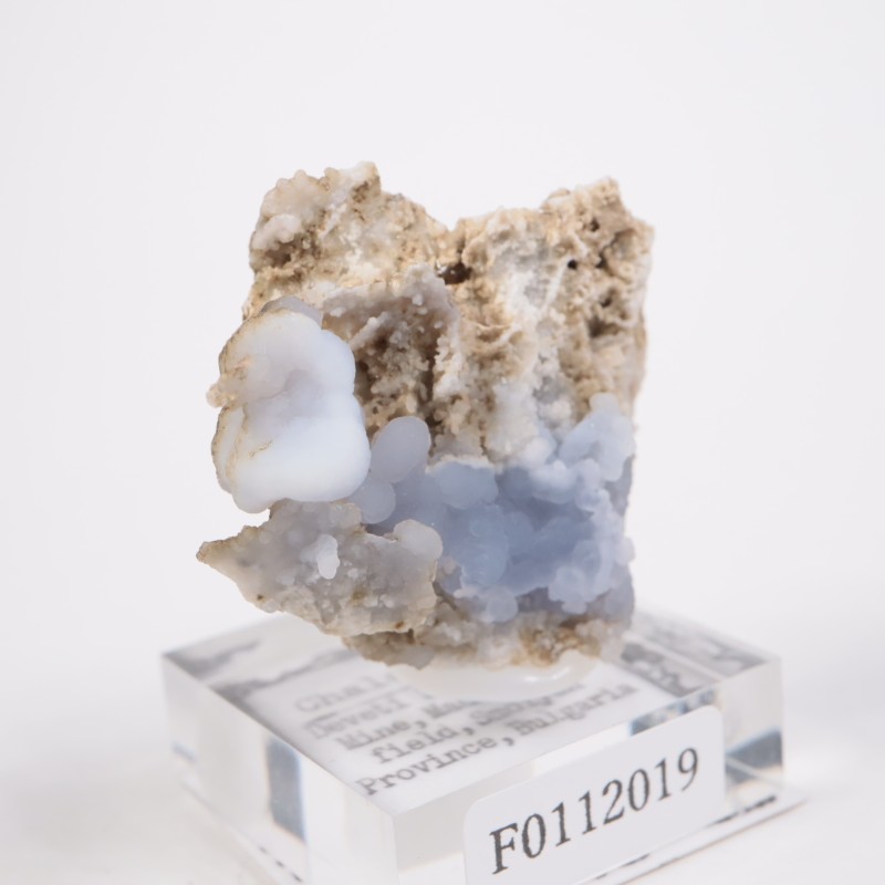 �֥륬�ꥢ�� ���륻�ɥˡ�