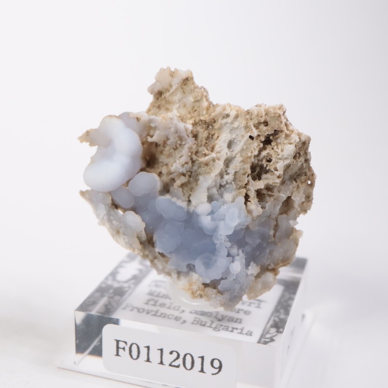 �֥륬�ꥢ�� ���륻�ɥˡ�