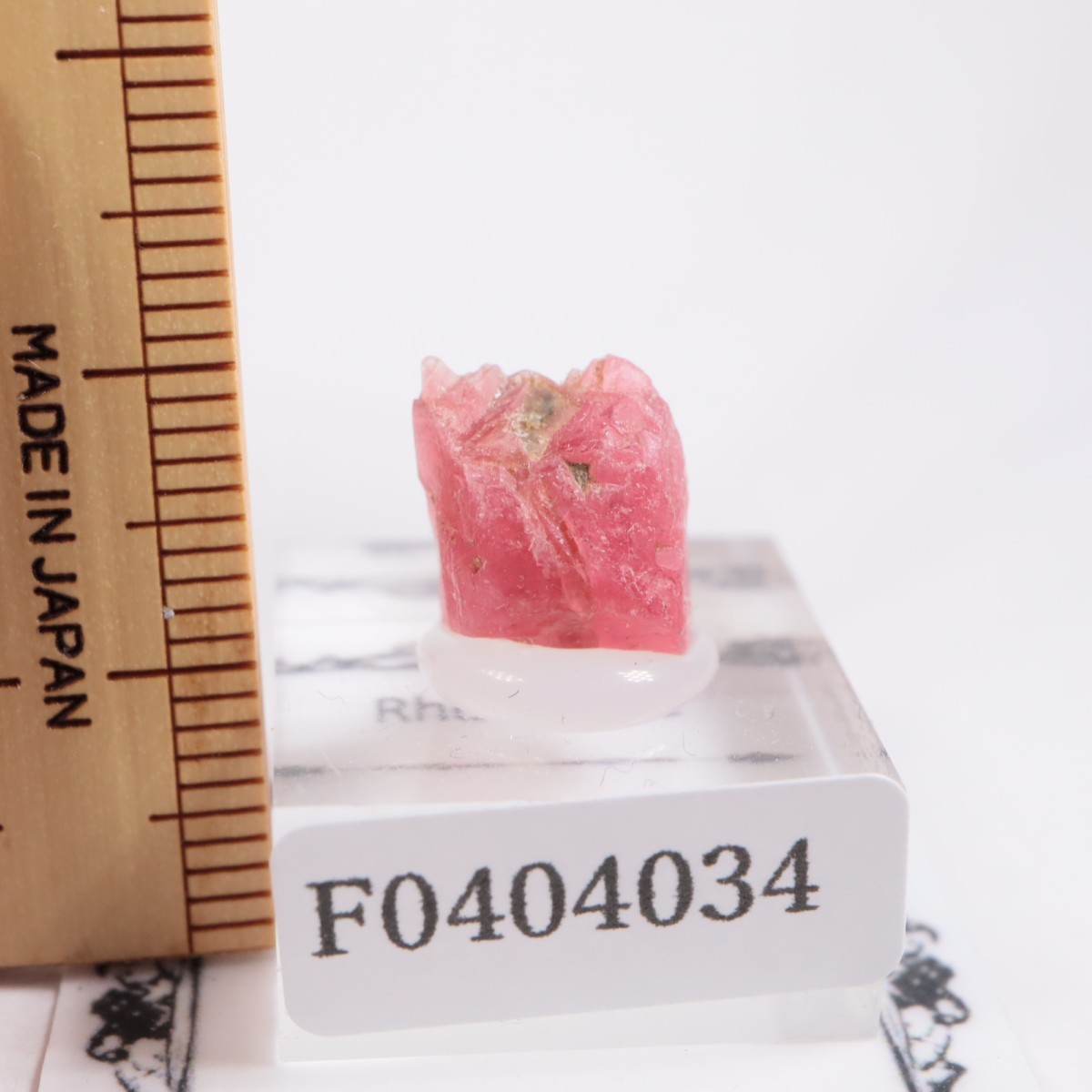 Minas Gerais�� �����ɥʥ���