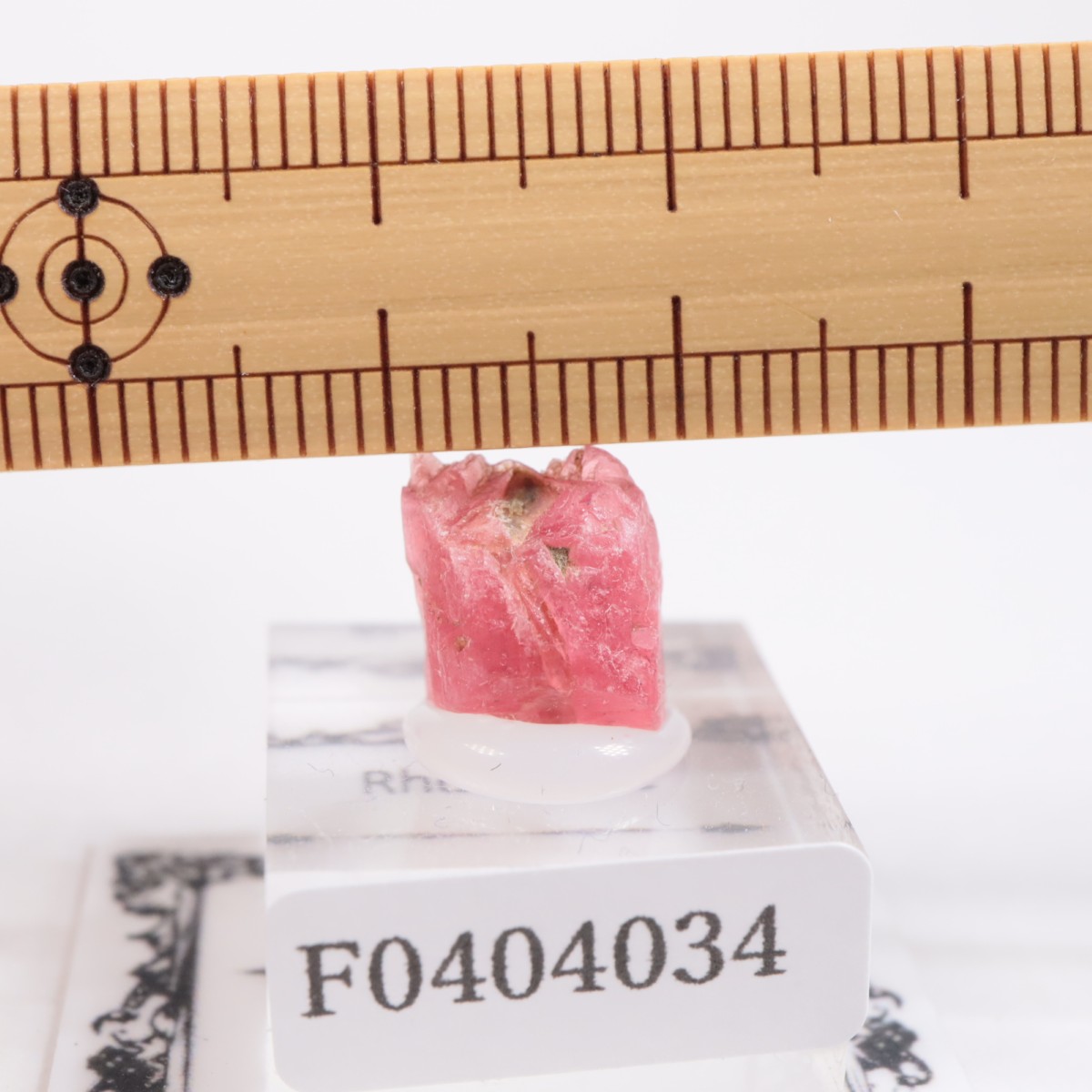 Minas Gerais�� �����ɥʥ���