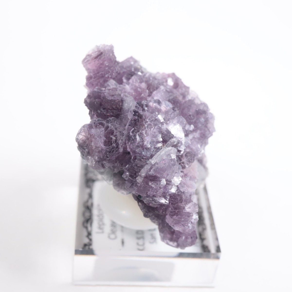 K.C.S.D�ۻ� ��ԥɥ饤�ȱ��졢���꡼�֥�������