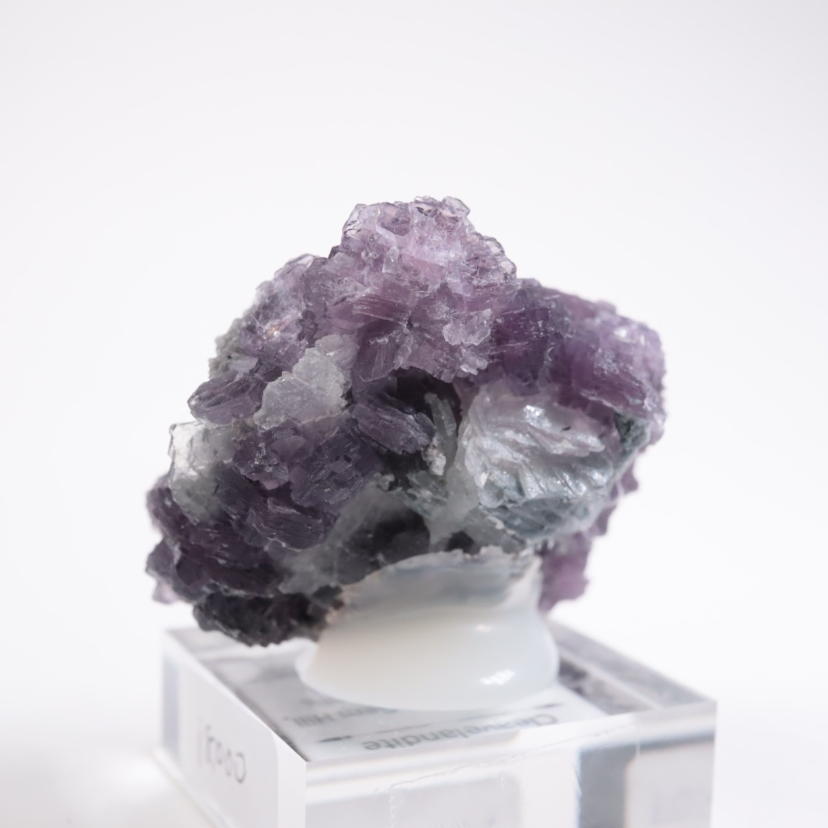 K.C.S.D�ۻ� ��ԥɥ饤�ȱ��졢���꡼�֥�������