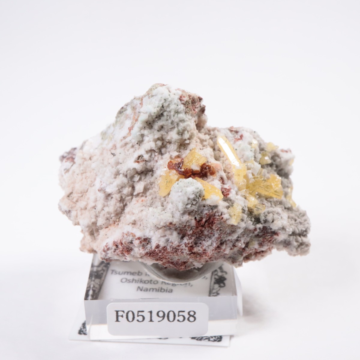 4_000000010064.jpg?1747648876