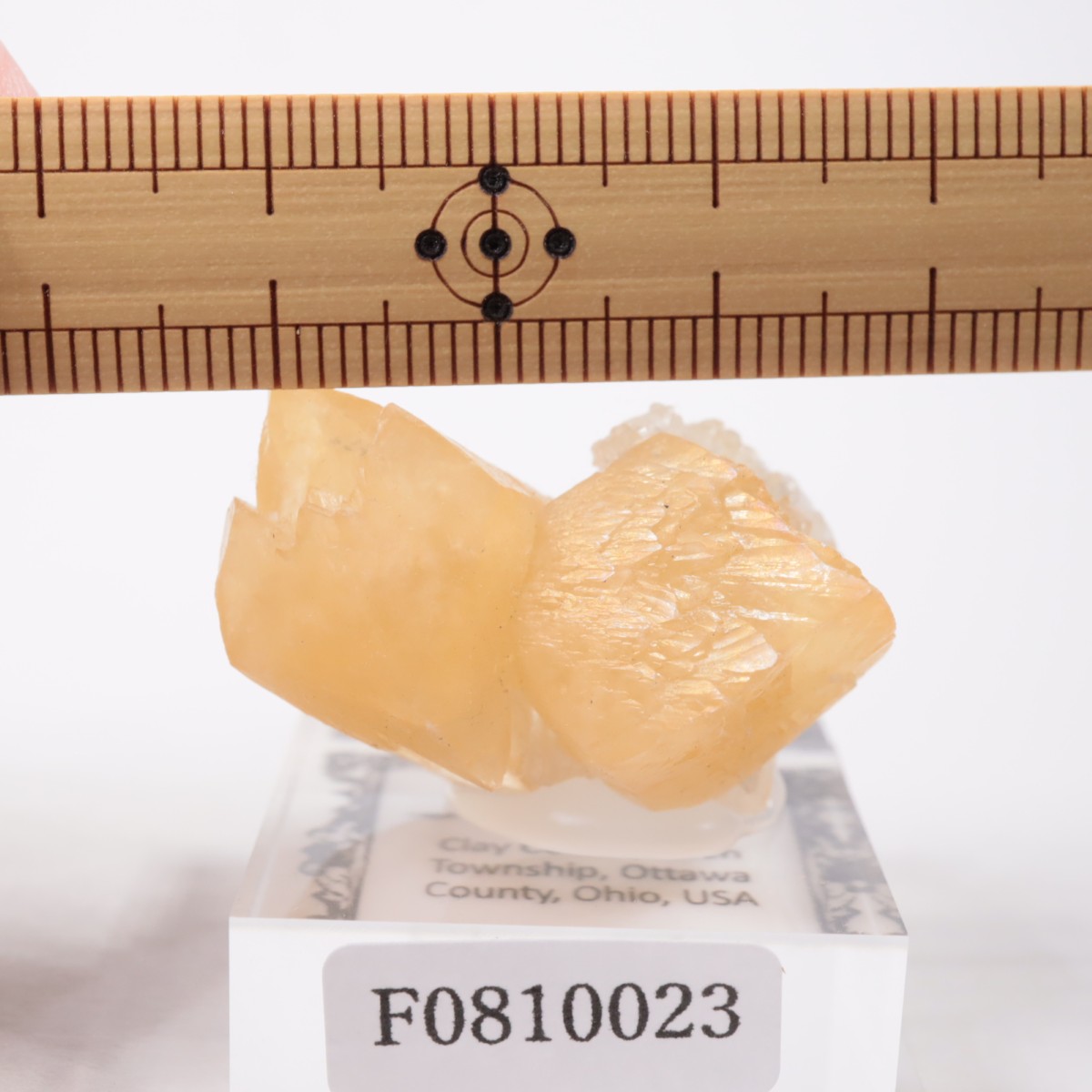 ���ϥ����� ���륵����