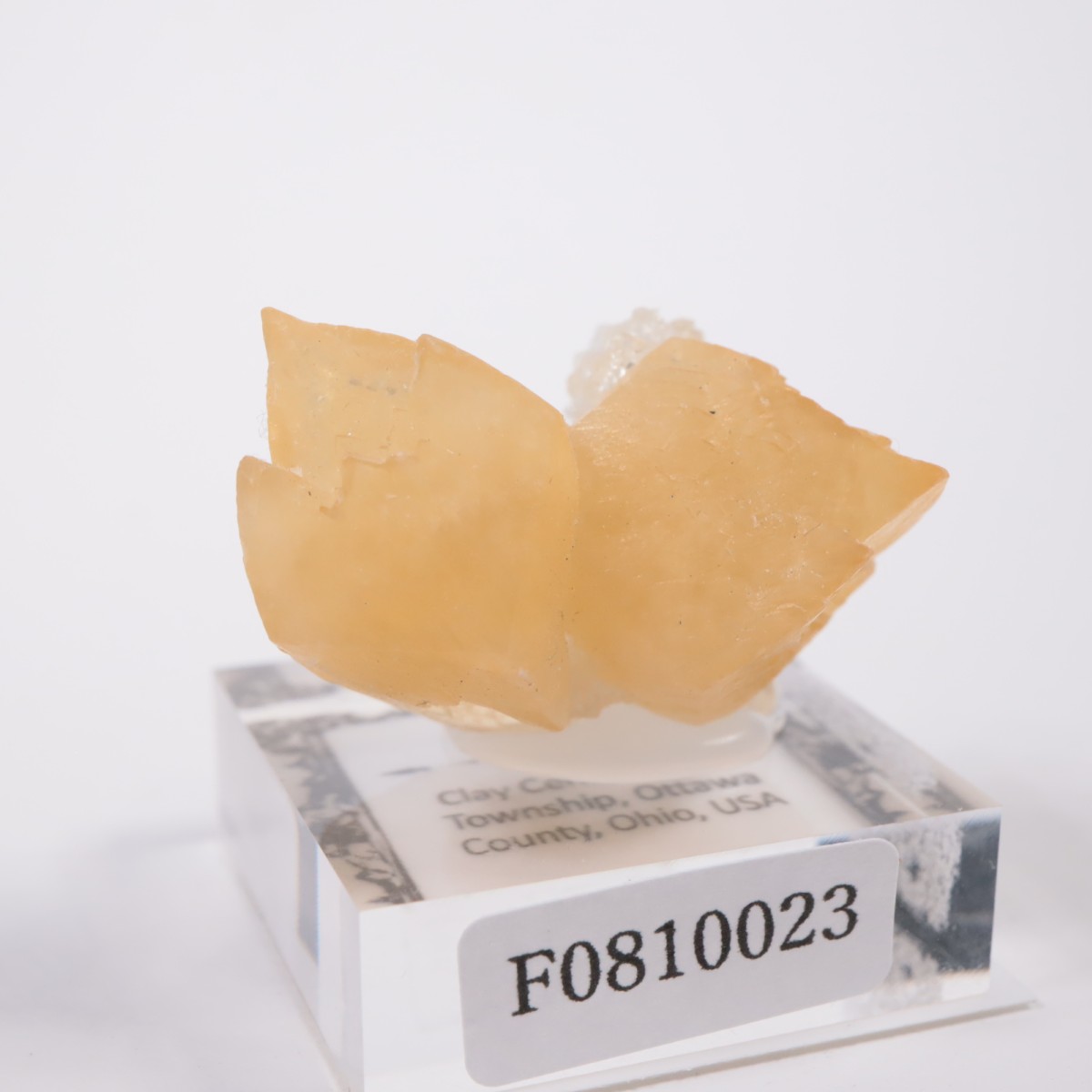 ���ϥ����� ���륵����