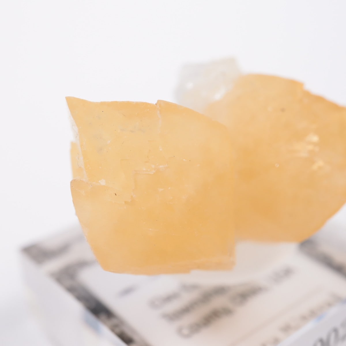 ���ϥ����� ���륵����