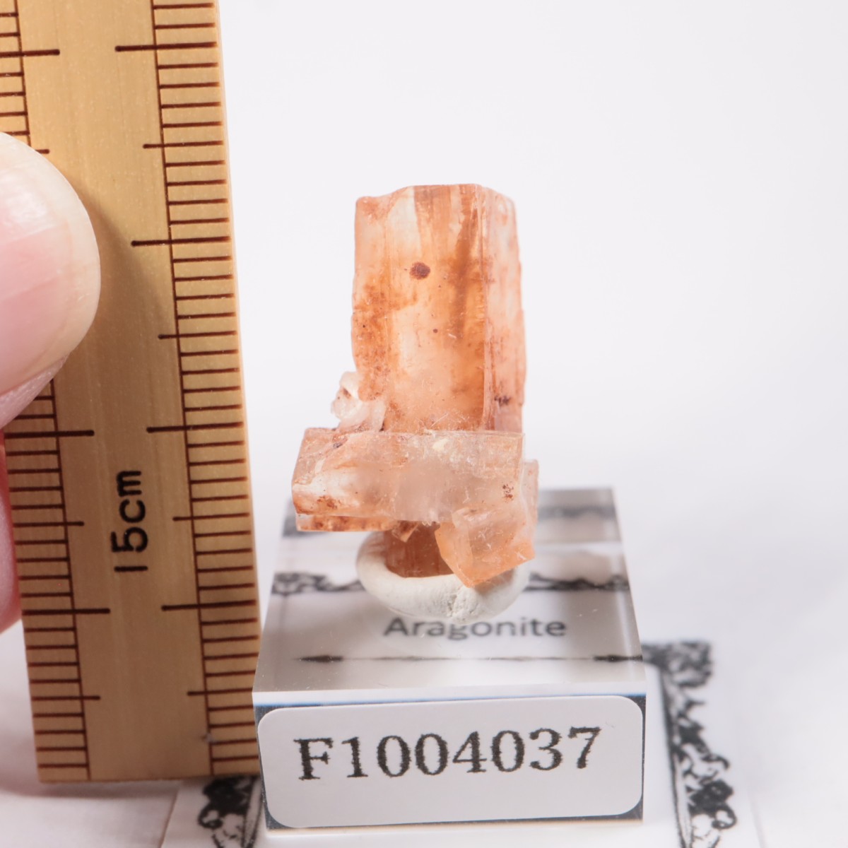 ����å��� ���饴�ʥ���